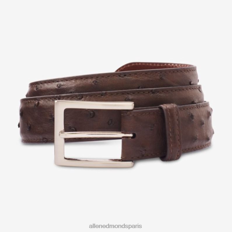 Allen Edmonds unisexe ceinture robe avenue d'autruche J248F285 brun expresso