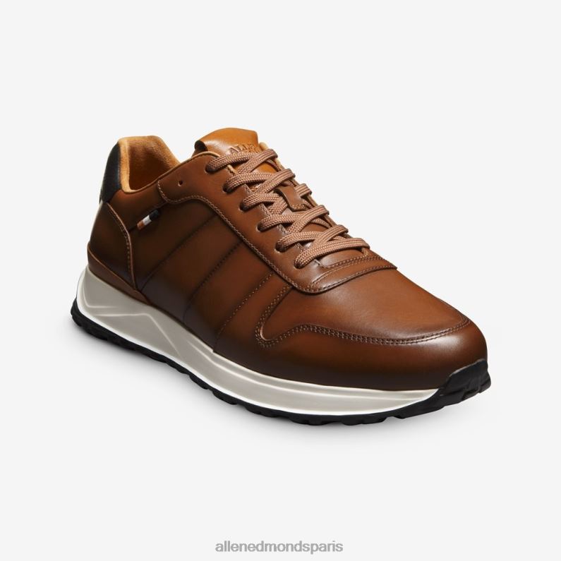 Allen Edmonds Hommes baskets Lawson à lacets J248F335 cuir de châtaignier
