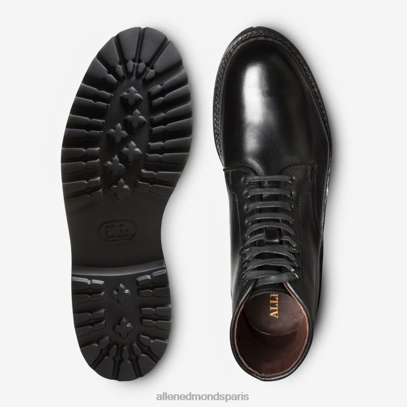 Allen Edmonds Hommes Botte Higgins Mill résistante aux intempéries avec semelle à crampons J248F19 noir