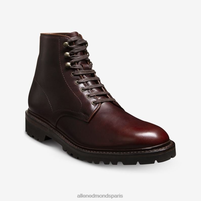 Allen Edmonds Hommes Botte Higgins Mill résistante aux intempéries avec semelle à crampons J248F261 Bourgogne