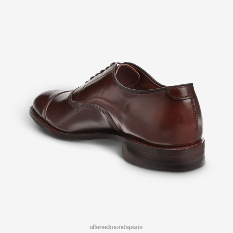 Allen Edmonds Hommes chaussure habillée oxford park avenue shell cordovan à bout droit J248F278 piment cordouan