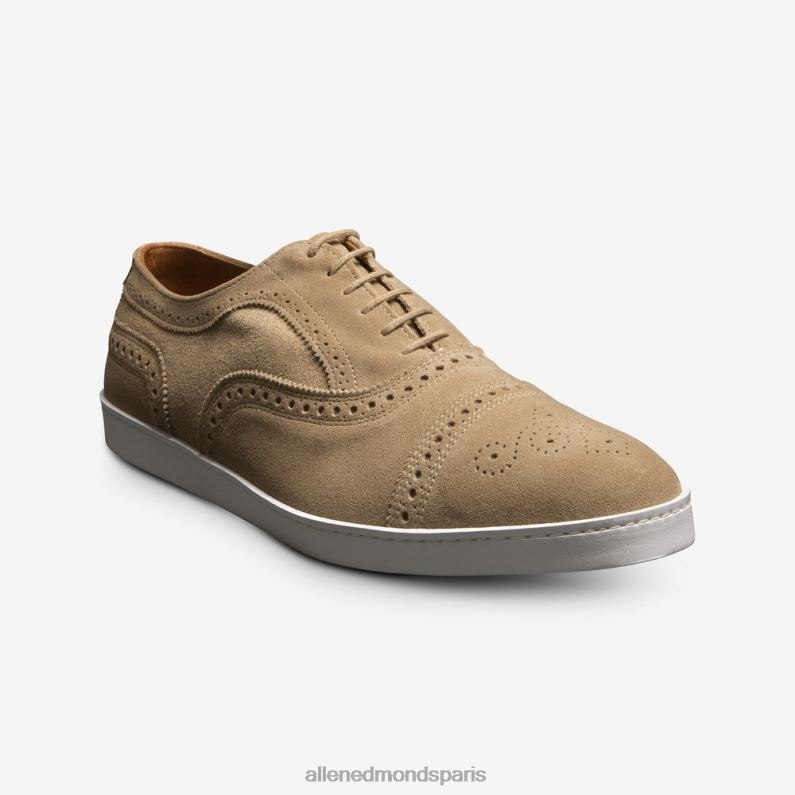 Allen Edmonds Hommes baskets oxford en daim strand J248F286 os